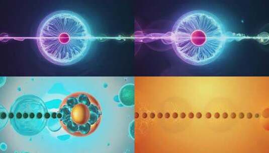 细胞分裂动画形状科学高清在线视频素材下载