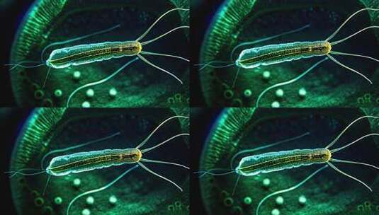 蓝色背景下的医学细菌微生物特写高清在线视频素材下载