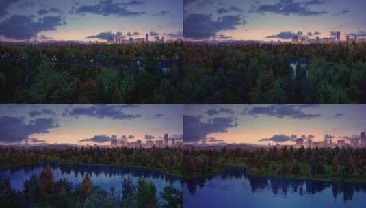 三维城市夜景园林动画高清在线视频素材下载