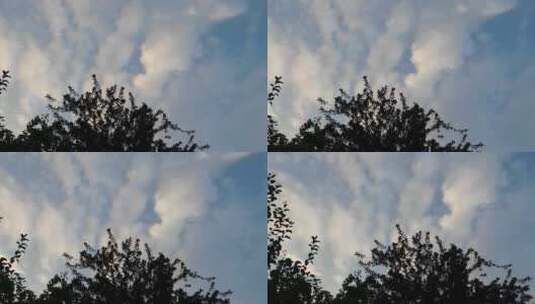 日落时的天空和树木高清在线视频素材下载