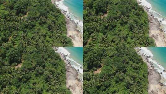 日月湾椰树海岸高清在线视频素材下载