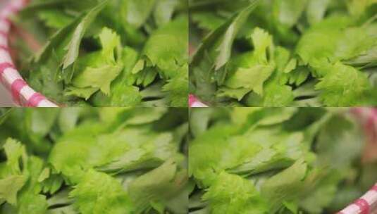 新鲜芹菜叶子维生素叶绿素高清在线视频素材下载