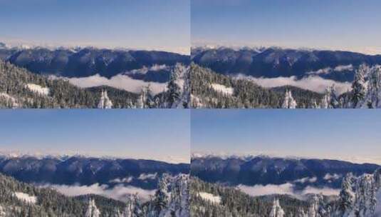 松树覆盖的雪山高清在线视频素材下载
