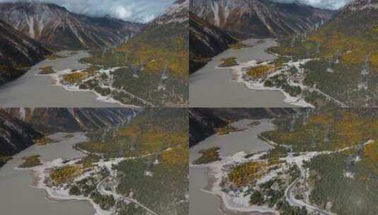 青藏高原然乌湖泊周围森林道路高清在线视频素材下载