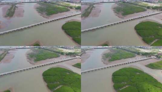 福建洛阳桥石桥泉州文化古迹万安桥四大名桥高清在线视频素材下载