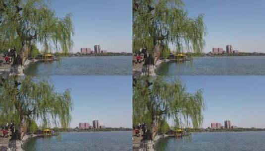 济南旅游景点，大明湖趵突泉打卡地高清在线视频素材下载