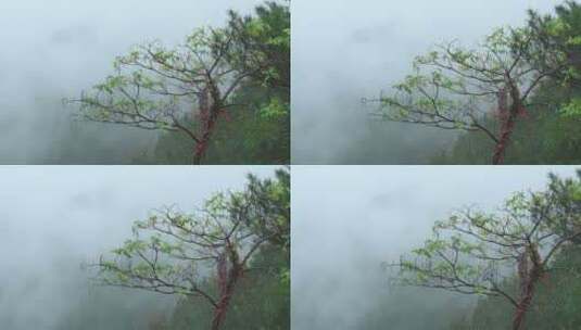 仙气十足的天台山风景高清在线视频素材下载