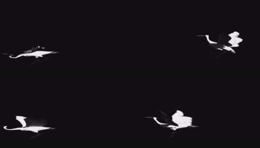 三维CG鹤动画01（黑白）高清在线视频素材下载