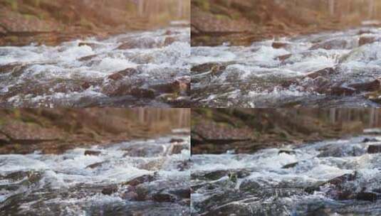 阳光小溪流水高清在线视频素材下载