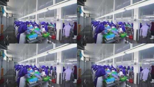 食品厂工人车间工作海鲜加工高清在线视频素材下载
