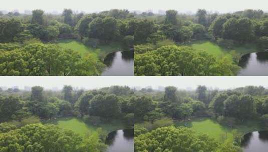 上海共青森林公园上海杨浦共青公园4K航拍高清在线视频素材下载