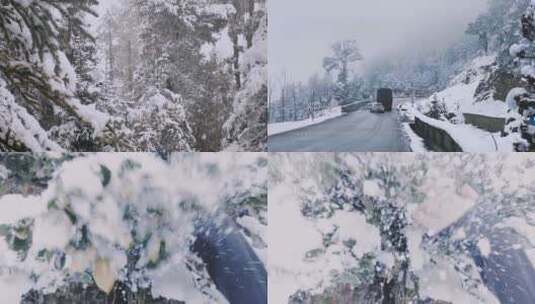 大山深处的大雪，树上盖满了厚雪高清在线视频素材下载