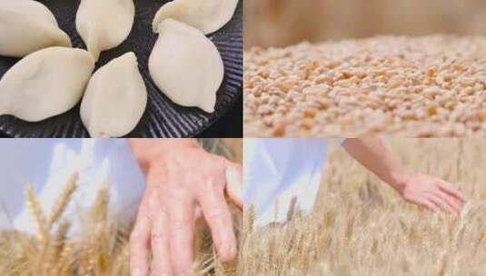 麦田面粉素材高清在线视频素材下载