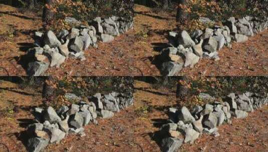 马萨诸塞州新英格兰石墙高清在线视频素材下载