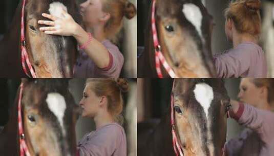女孩在马场照顾马儿高清在线视频素材下载