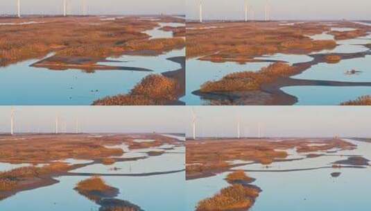 航拍上海崇明东滩鸟类保护区风电高清在线视频素材下载