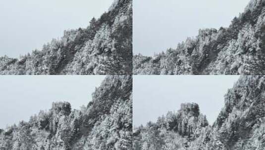 航拍湖北神农架原始森林群山冬季雪景雪松高清在线视频素材下载
