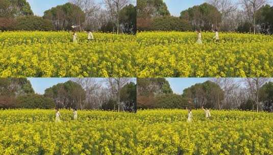 女孩在油菜花田中奔跑升格高清在线视频素材下载