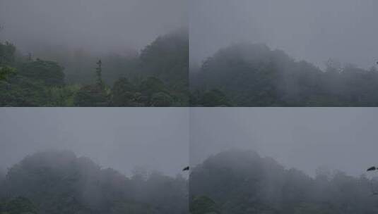 山里云里雾里朦胧高清在线视频素材下载
