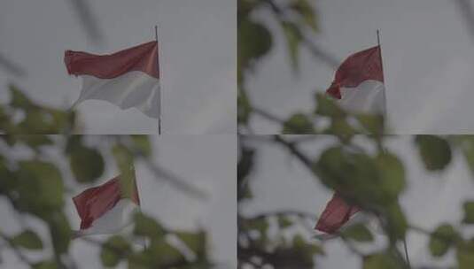 飘扬的印度尼西亚国旗高清在线视频素材下载
