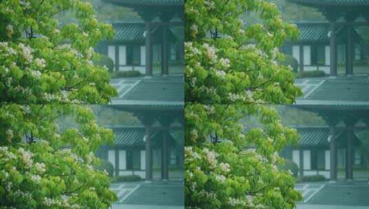 下雨天古建筑屋檐下雨中国风雨中绿植雨高清在线视频素材下载