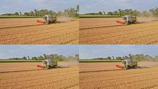 农业田间收割小麦高清在线视频素材下载