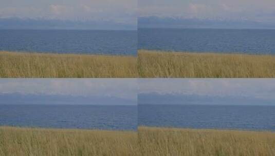 新疆赛里木湖雪山湖泊绝美风光高清在线视频素材下载