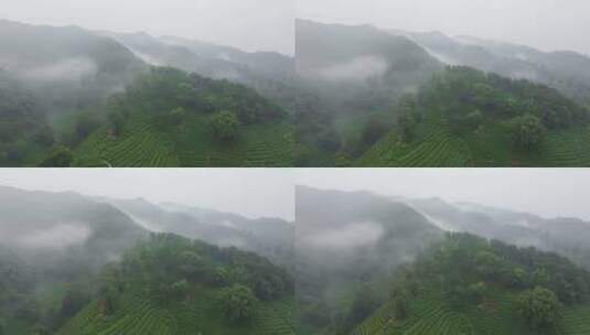 杭州西湖龙井茶园梅家坞云雾航拍高清在线视频素材下载