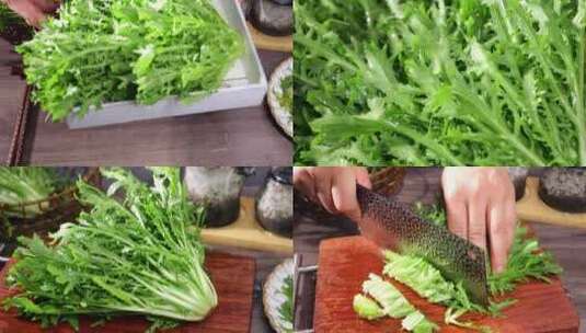 苦苣 新鲜蔬菜高清在线视频素材下载