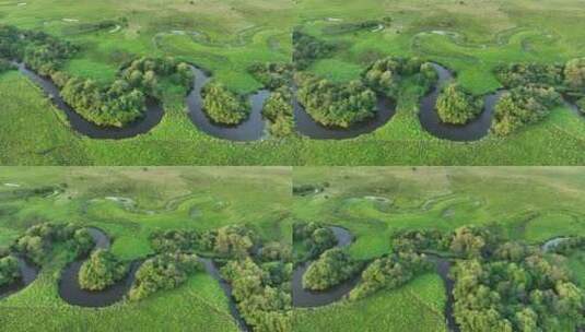 航拍湿地蜿蜒的河湾风景高清在线视频素材下载