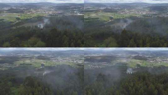 森林上空的烟雾高清在线视频素材下载