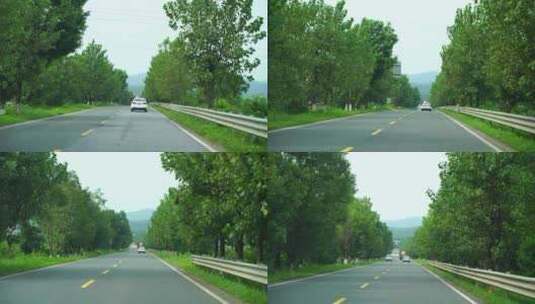 开车行驶林荫小道汽车乡村公路道路驾驶视角高清在线视频素材下载