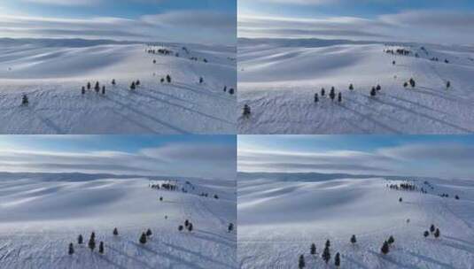 唯美雪景 呼伦贝尔大雪原高清在线视频素材下载