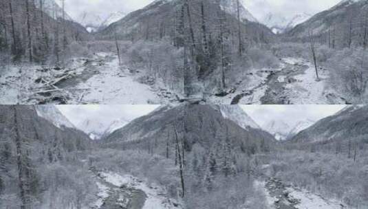 川西四姑娘山冬季双桥沟山谷溪流森林雪山高清在线视频素材下载