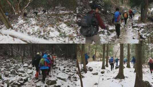 户外爱好者登雪山背影高清在线视频素材下载