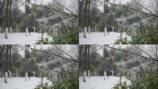 雪花飘落的慢镜头高清在线视频素材下载