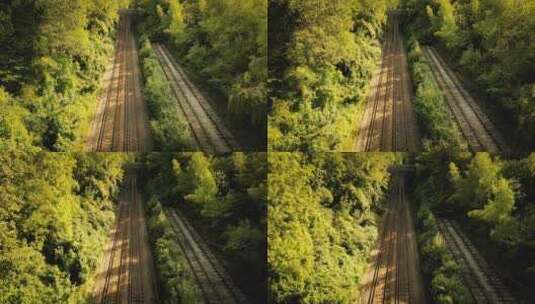 森林铁路铁轨穿过树林高清在线视频素材下载