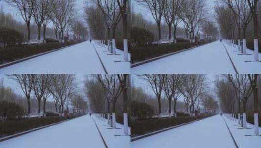 城市街道人文下雪雪景高清在线视频素材下载