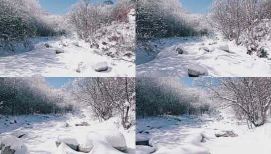 秦岭森林雾凇雪景高清在线视频素材下载