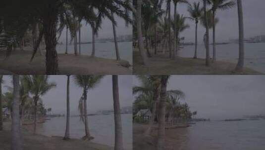 海南海花岛椰树海岸高清在线视频素材下载