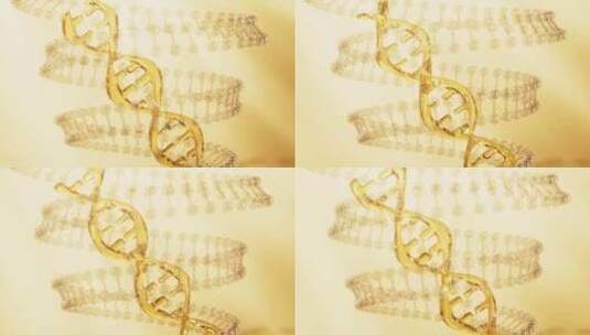 旋转的金色DNA生物科技概念视频高清在线视频素材下载