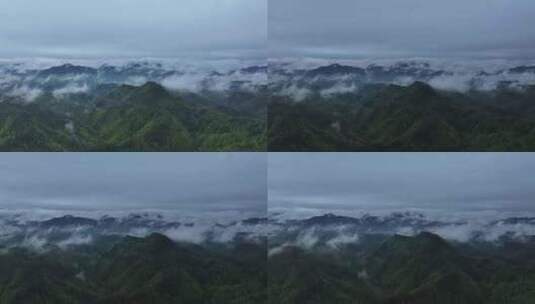 云雾原始森林大自然航拍延时高清在线视频素材下载