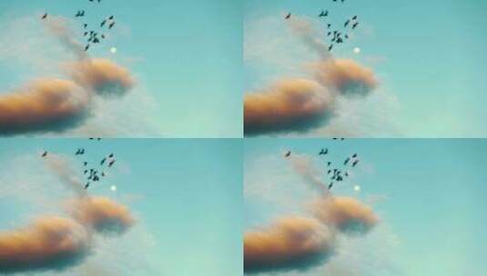 清晨鸽子飞过天空高清在线视频素材下载
