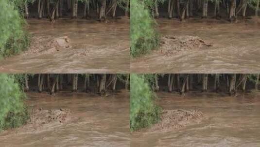 实拍暴雨后洪水 山洪  泥石流高清在线视频素材下载