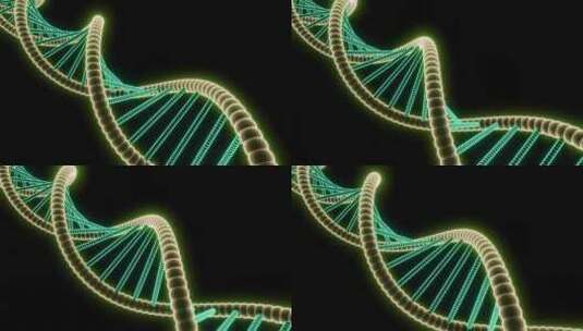 DNA结构双螺旋的数字插图高清在线视频素材下载