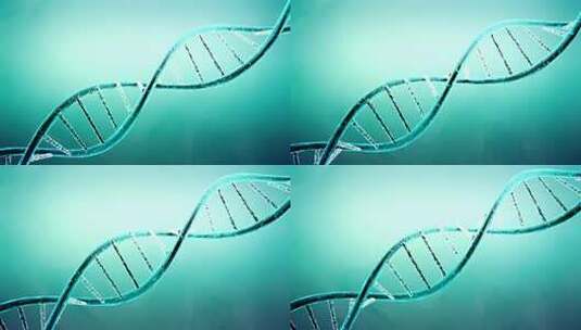 DNA分子，双螺旋链高清在线视频素材下载