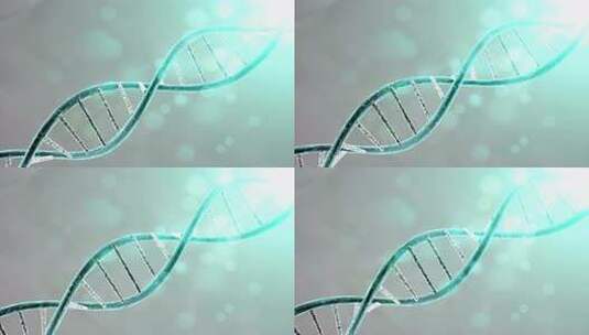 DNA分子，双螺旋链高清在线视频素材下载