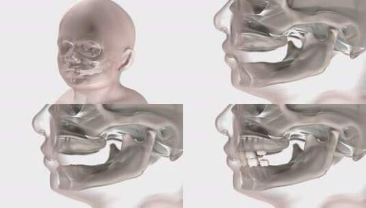 牙齿发育高清在线视频素材下载