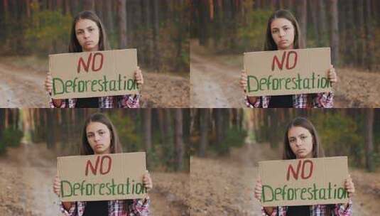 没有森林砍伐的少女海报高清在线视频素材下载