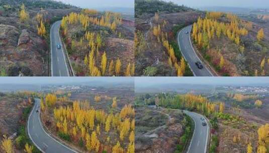 金色秋天旅游公路上行驶在风景中的汽车高清在线视频素材下载